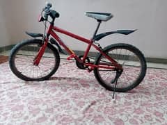 Cycle