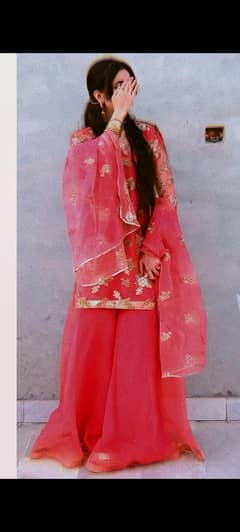 Alla dresses under 6000