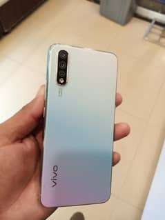 vivo