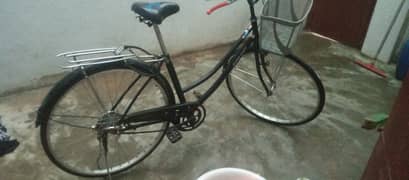 Original Japani Cycle