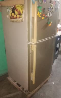 Fridge