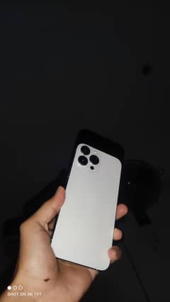 13pro