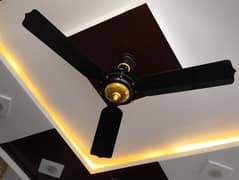 2 fans