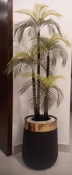 Tree with pot
