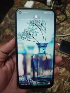 hawaii y7p