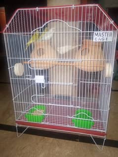 Brand New Birds Cage for sale