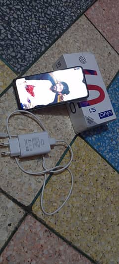 vivo