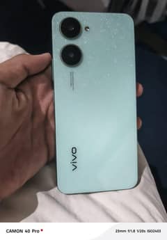 vivo