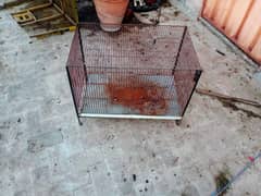 2.5 x 1.5 x 1.5 cage for sale