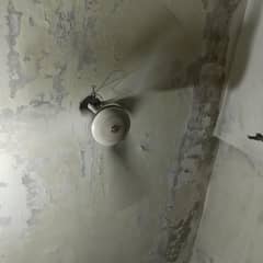 Ceiling Fan