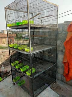 folding cage for sale