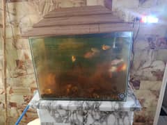 Aquarium For fishes large with Lid 24*18 inch 5mm glass Good Condition
