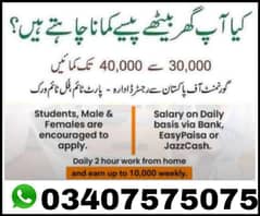 online work opportunity