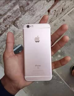 6s