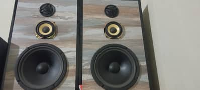 10 inch ke speaker hen China fellow