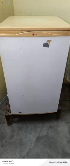 Lg Small frij