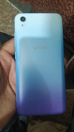 vivo