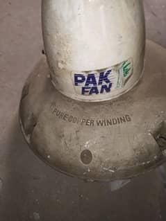 pak fan