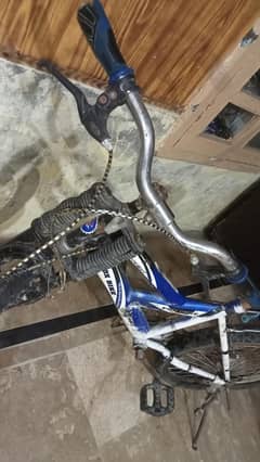 cycle