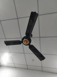 56"
