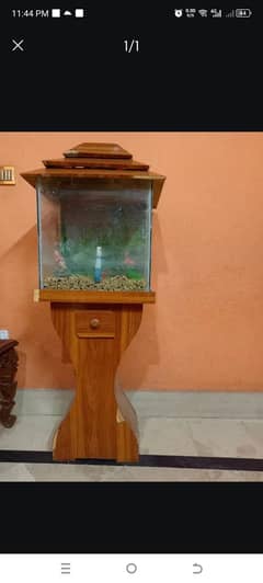 Aquarium fish in used condition