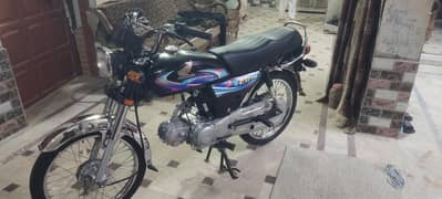 CD 70 2024