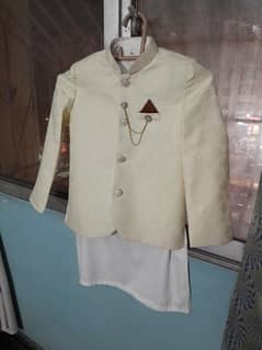 golden coat