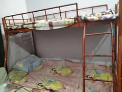 bunk bed