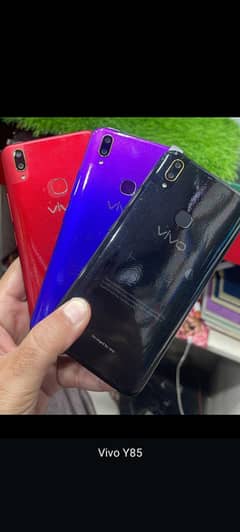Vivo