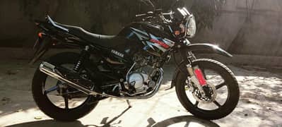 Ybr-G