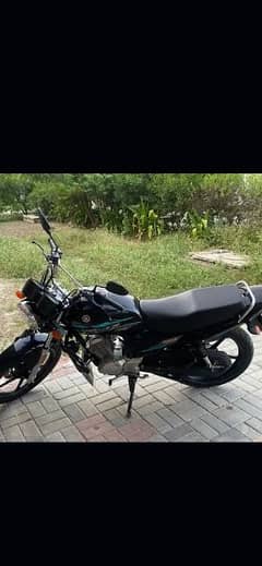 yb 125z dx all ok lush condition 2023 model