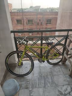 SPEEDO ROAD BICYCLE (URGENT SALE)