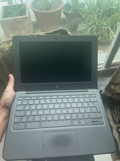 Hp chromobook