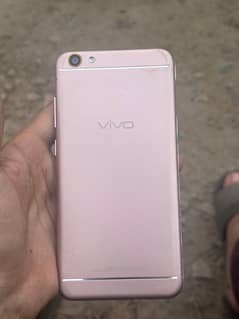 vivi y66
