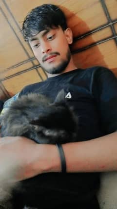 Bhot achi cat Hain . . .