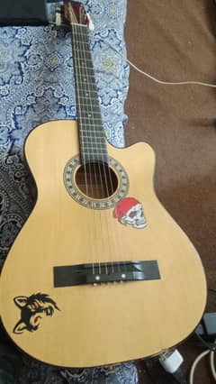 Aucastic guitar.