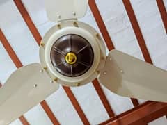 SK Celling Fan