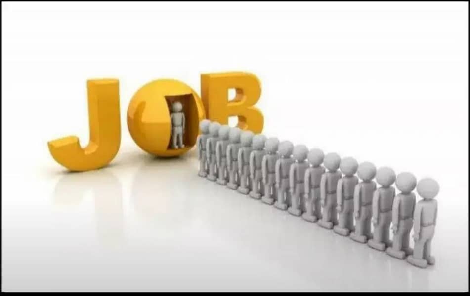 Driver| |Chef| Accountant| |Delivery Boy| |Computer Opt| |Cook|Helper| 1