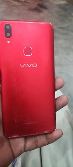 vivo