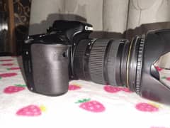 80D