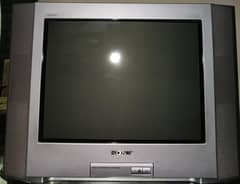 Television