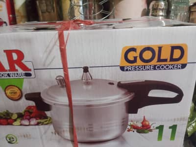 11 LITTER PRESURE COOKER