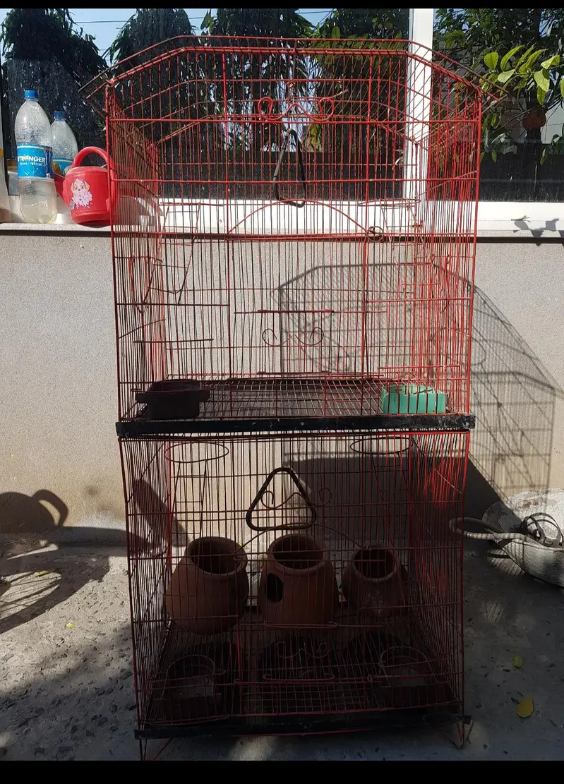 cage for parrots 2 level — photo 3