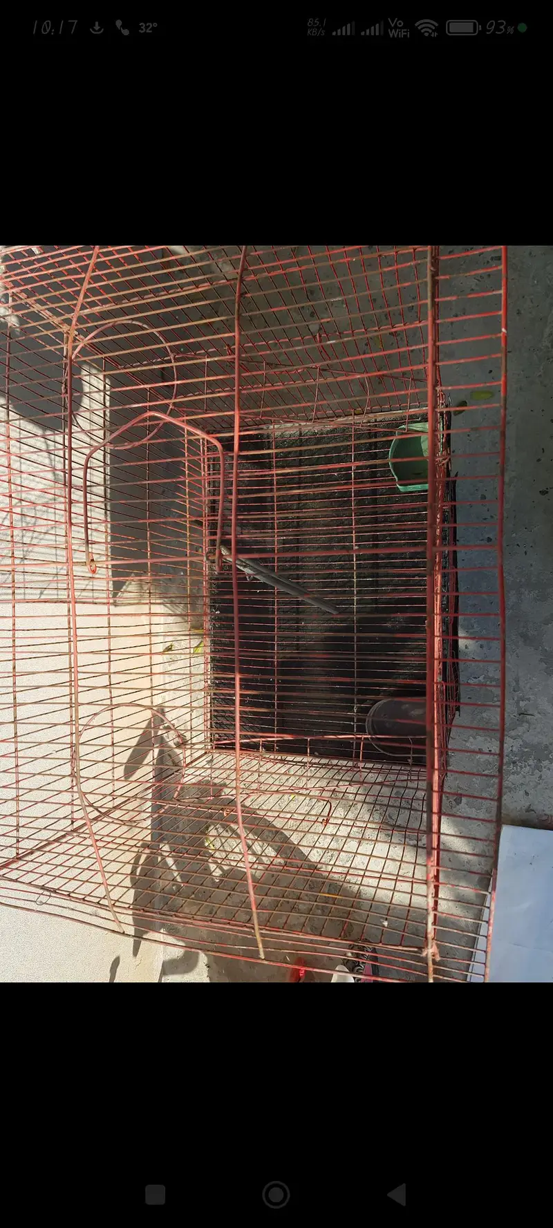 cage for parrots 2 level — photo 4