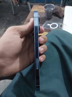 13 pro max