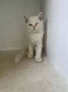 For sale