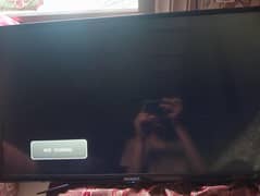 nobel lcd for sale