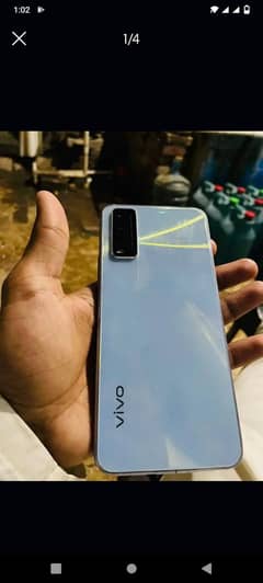 vivo