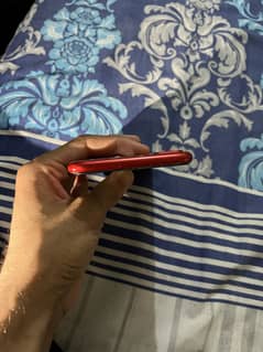 8plus