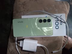 viviy100